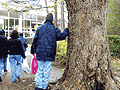 Саня у Дерева Знаний перед школой. Слева Павел и Ксюха.